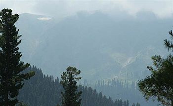 Hotel Zahgeer Continental Gulmarg Exterior photo